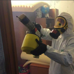 Уничтожение клопов в квартире. Киселевск